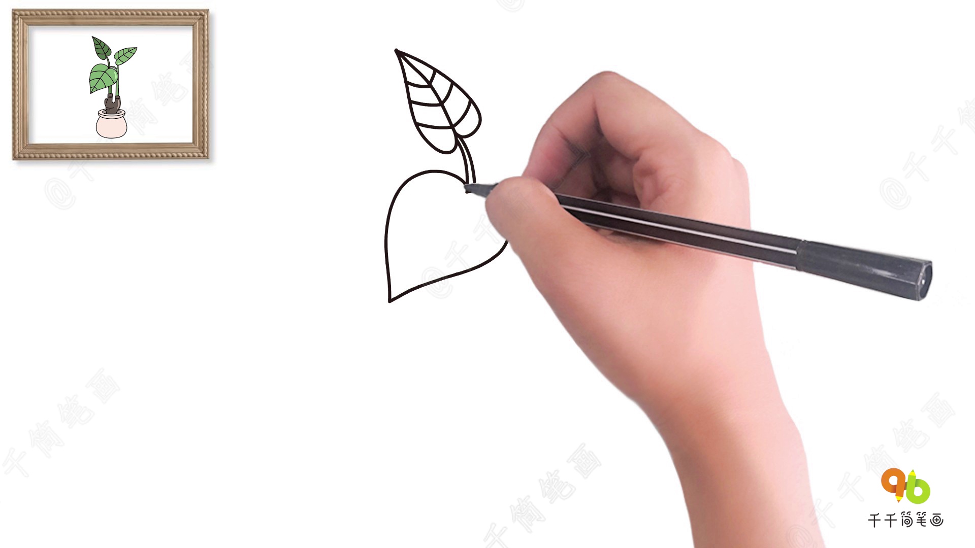 教你画滴水观音简笔画_花草植物视频简笔画, image size:1920x1080