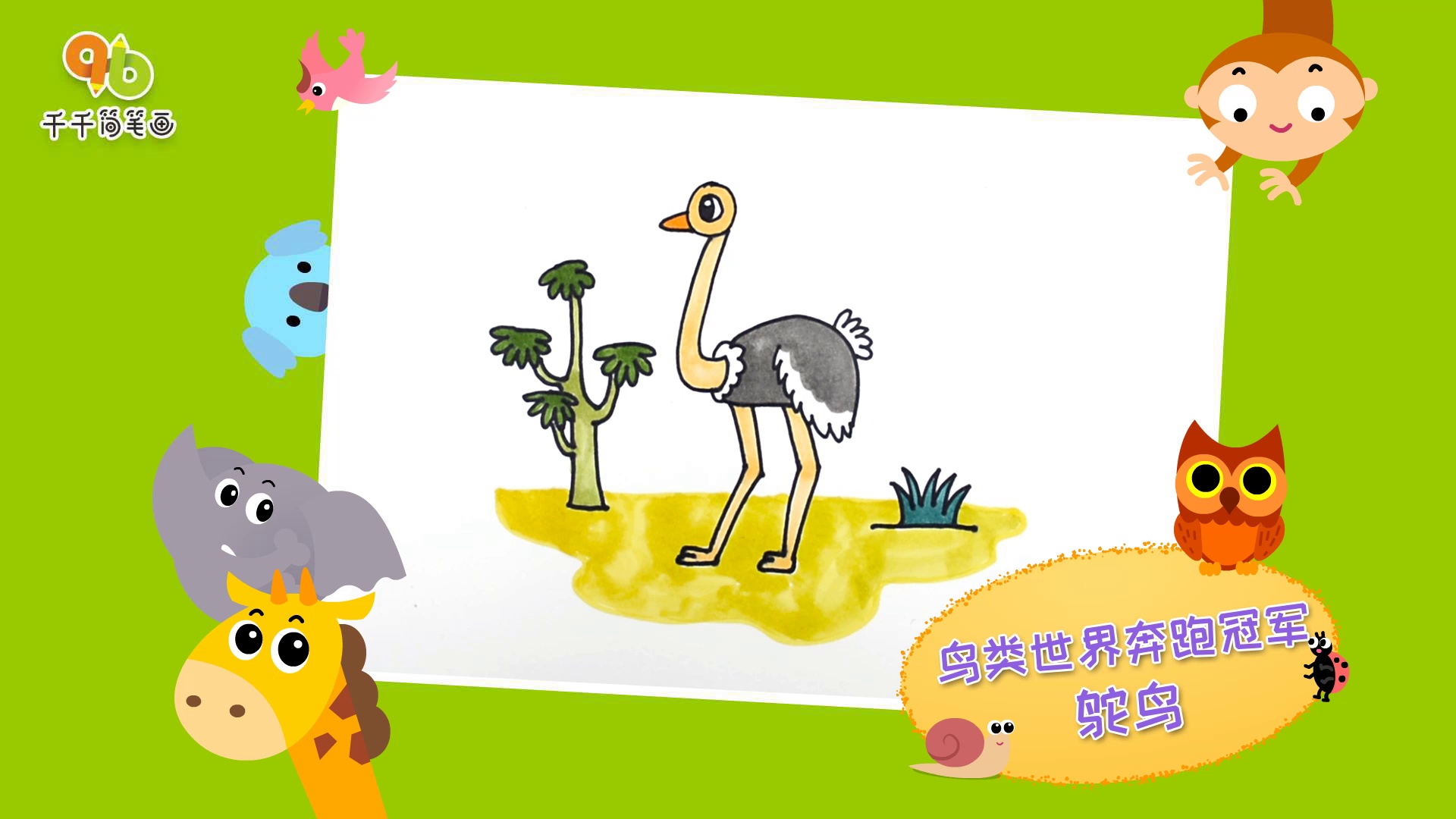 教你怎么画沙漠里鸵鸟简笔画