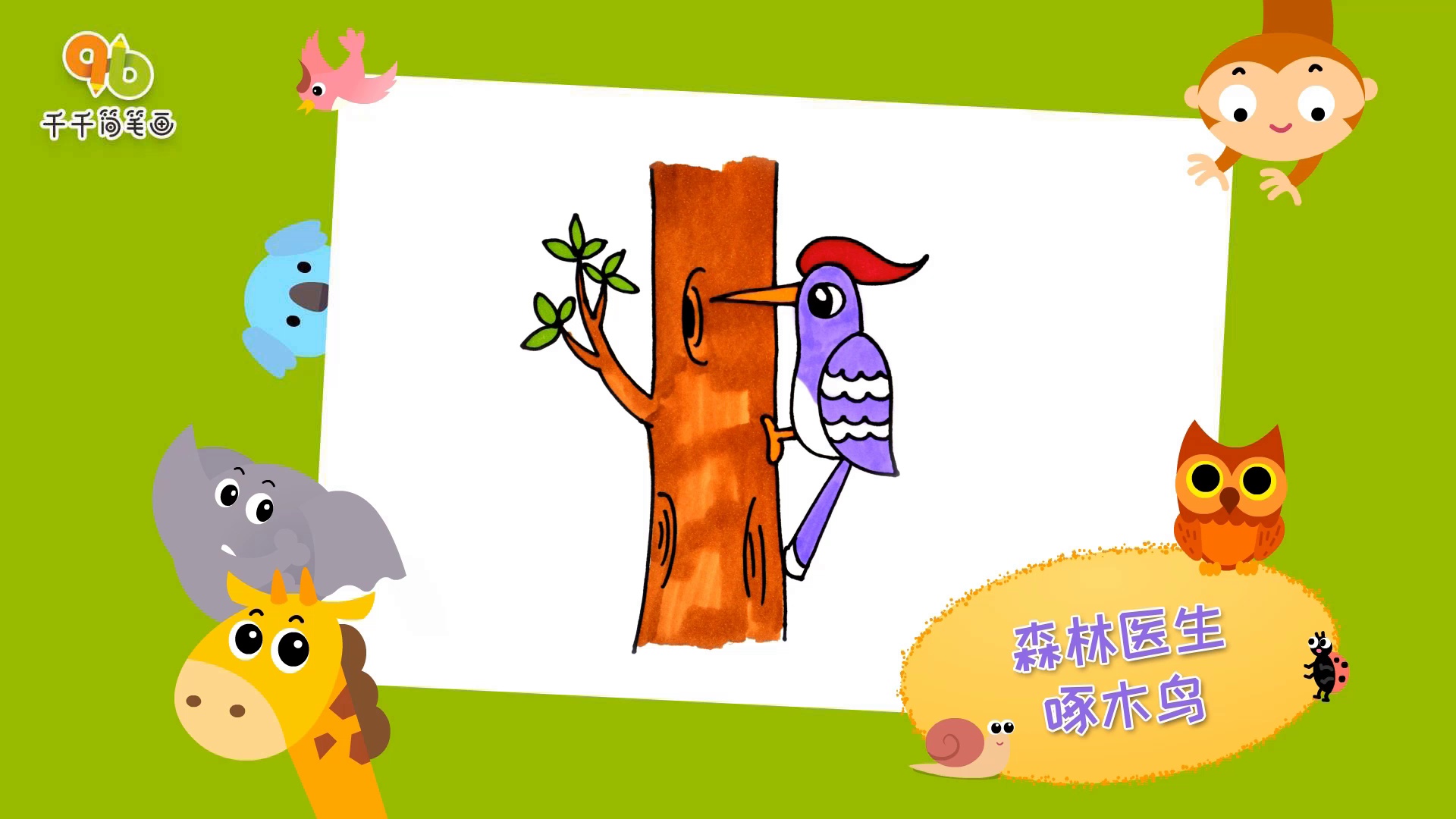 森林医生啄木鸟简笔画_王老猫动物视频简笔画